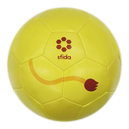 FOOTBALL ZOO babyライオン裏