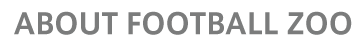 FOOTBALL ZOOについて